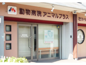 たなか動物病院 兵庫県 伊丹市 獣医師 動物看護師の求人 転職情報