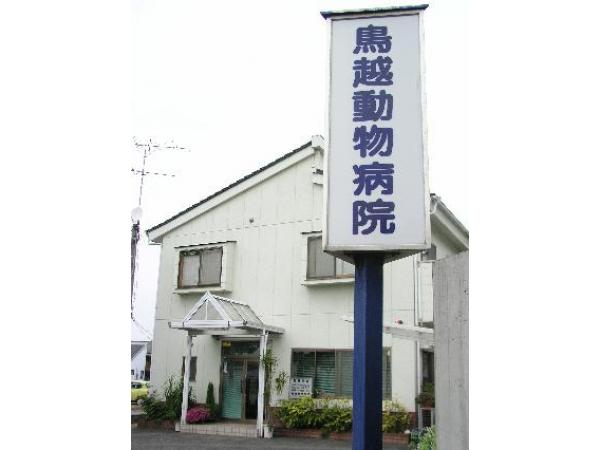鳥越動物病院 岡山県 倉敷市 獣医師 動物看護師の求人 転職情報