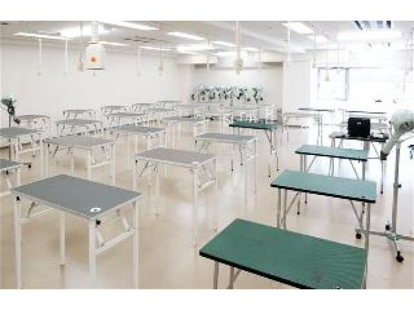 九州動物専門学院 福岡県 北九州市小倉北区 獣医師 動物看護師の求人 転職情報