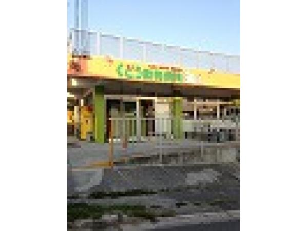 くどう動物病院 沖縄県 島尻郡南風原町 獣医師 動物看護師の求人 転職情報