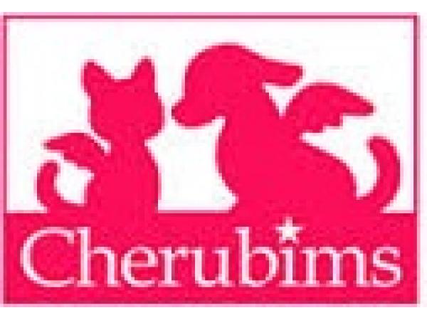 ケルビム動物病院 沖縄県 宜野湾市 獣医師 動物看護師の求人 転職情報